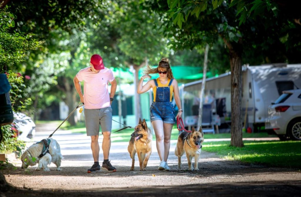 CAMPING PET-FRIENDLY